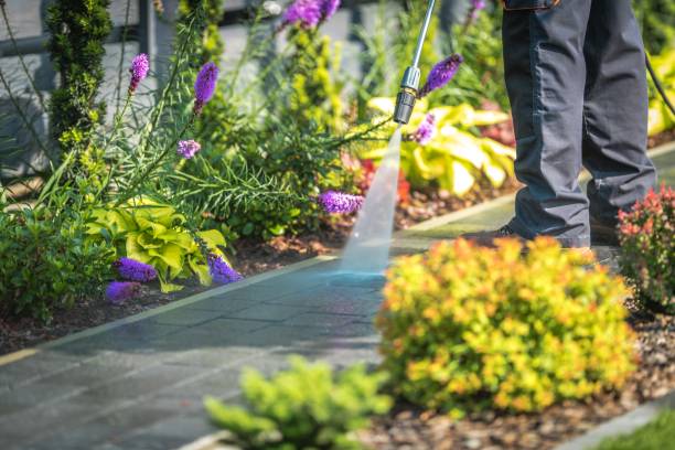 Best Restaurant Pressure Washing  in Buhl, MN