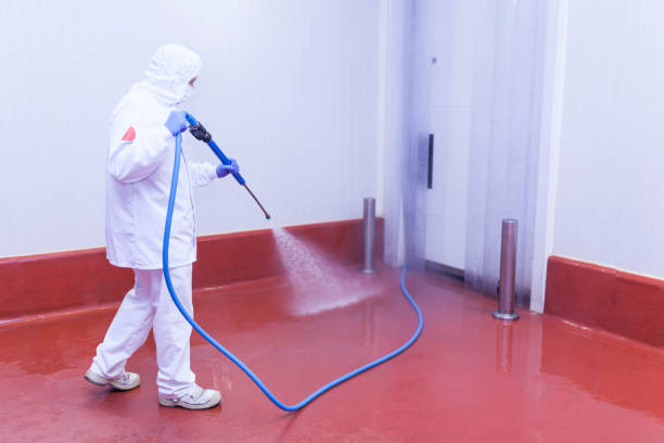Buhl, MN Pressure Washing Services Company